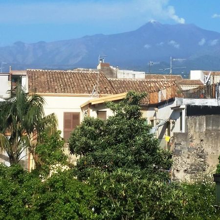 جاري Tortugas B&B المظهر الخارجي الصورة